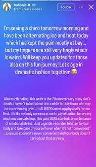 Still taken from Amanda Balionis’ Instagram story _ Source: Instagram/@balionis